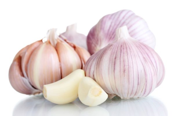 Fresh Garlic Powder & Garlic Oil
