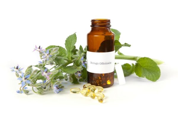 Borage Oil – Borago officinalis