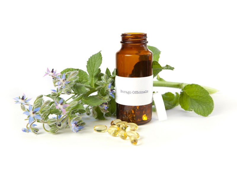 Borage Oil – Borago officinalis
