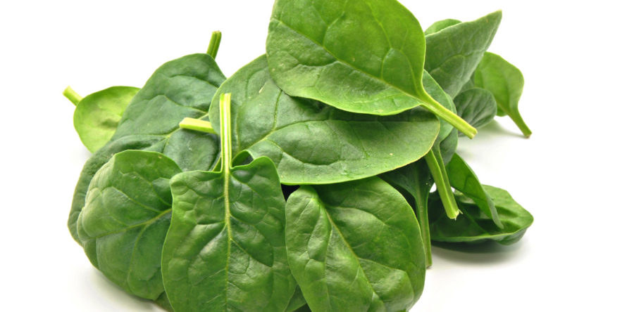 Alpha Lipoic Acid +Q10